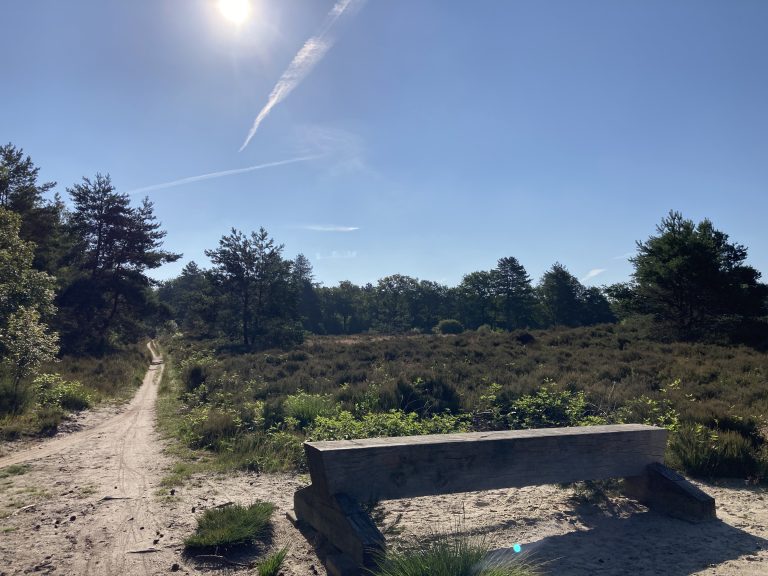 Hete Ochtendloop
